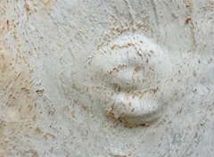 DSC02253a